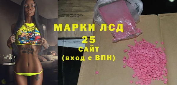 хмурый Алзамай