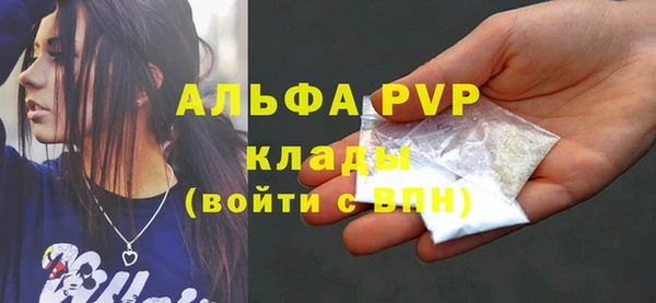 стафф Алексин