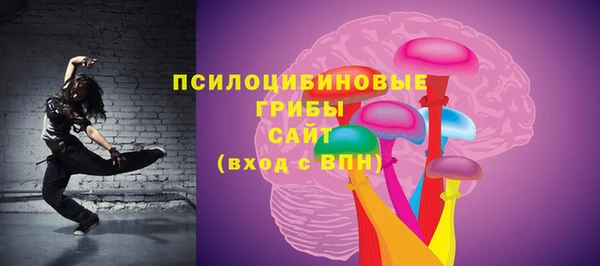 хмурый Алзамай