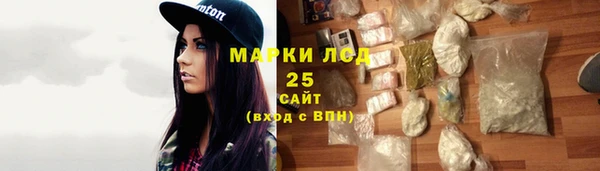 хмурый Алзамай