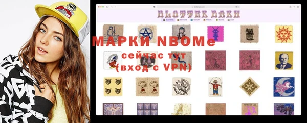 стафф Алексин
