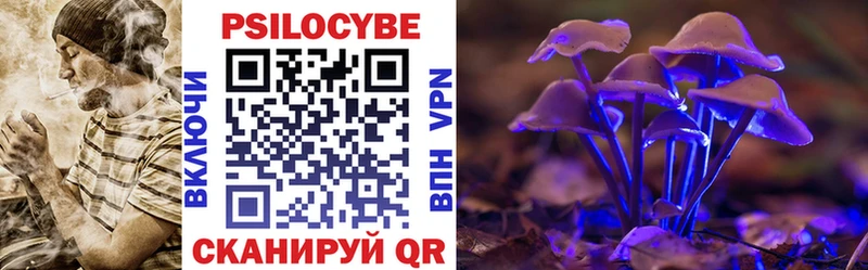 Псилоцибиновые грибы мицелий  площадка формула  Снежногорск 